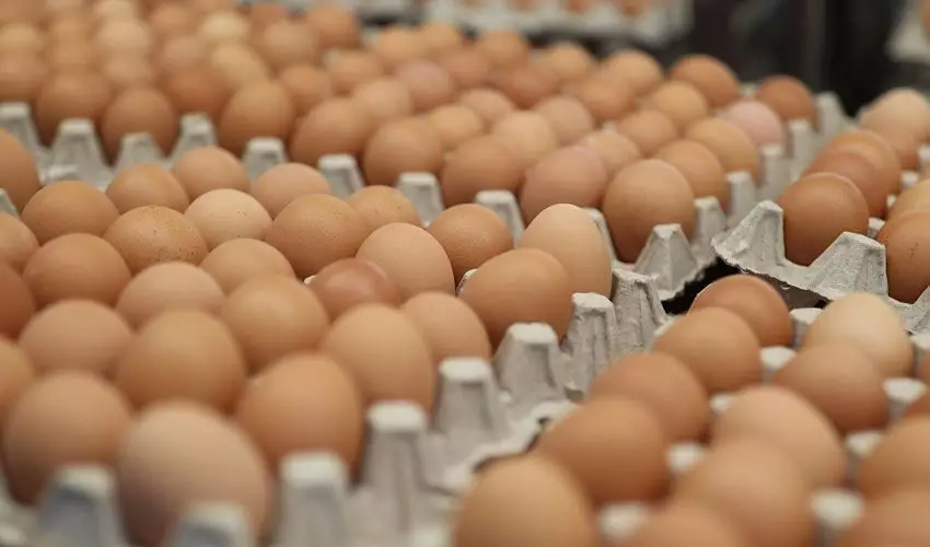 Крупную партию яиц контрабандой из России пытались ввезти в Казахстан
