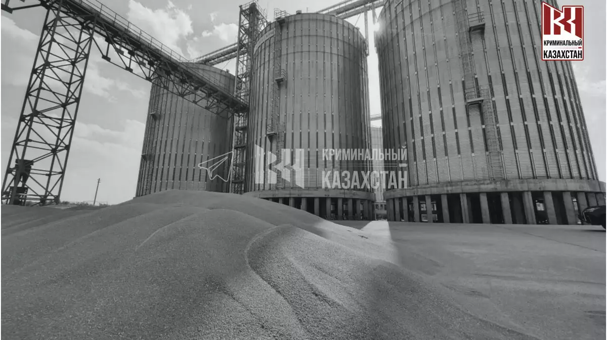 В СКО работница элеватора погибла после падения в зернохранилище