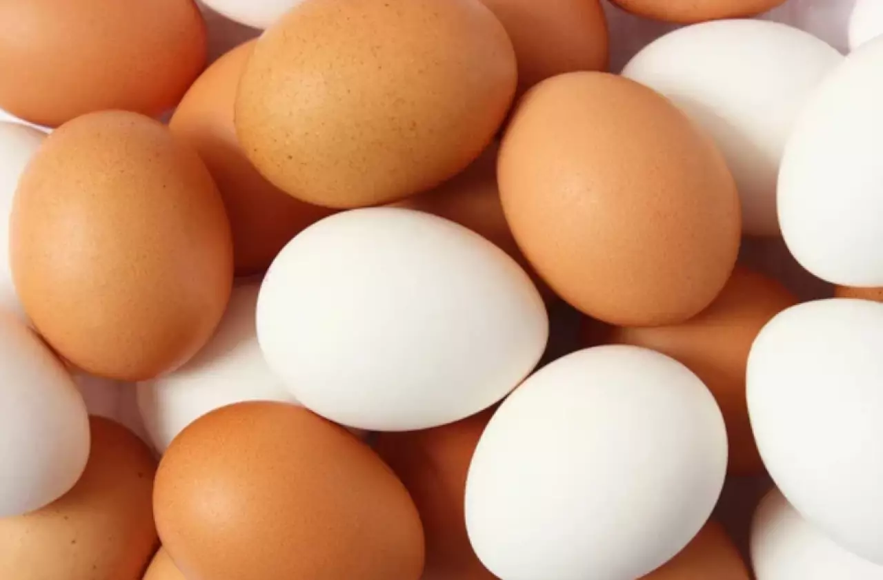 Партию куриных яиц пытались незаконно ввезти в Казахстан