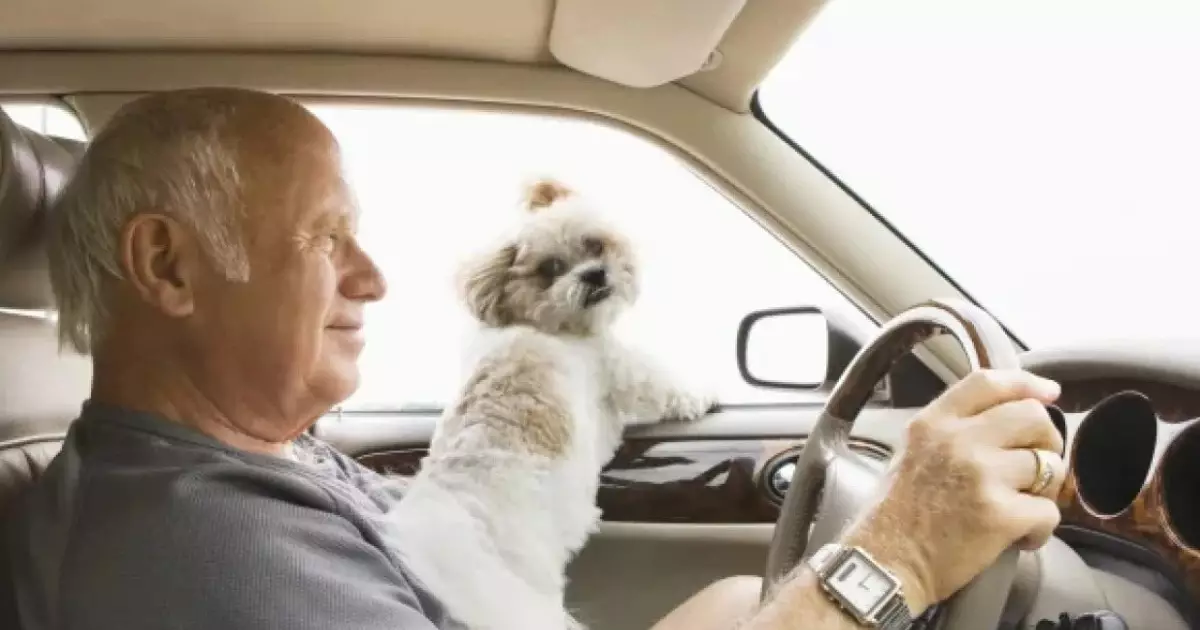  Қыдырып жүріп, 62 жастағы кемпірін жол бойында ұмытып кеткен 