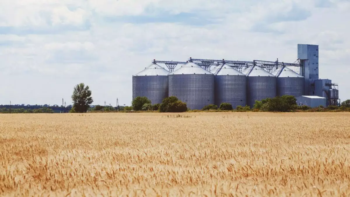 СҚО-да элеватор қызметкері 30 метр биіктен астықтың ішіне құлап, көз жұмды