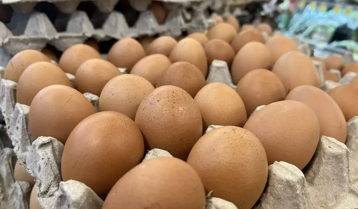 Незаконный ввоз крупной партии яиц из России пресекли в Казахстане