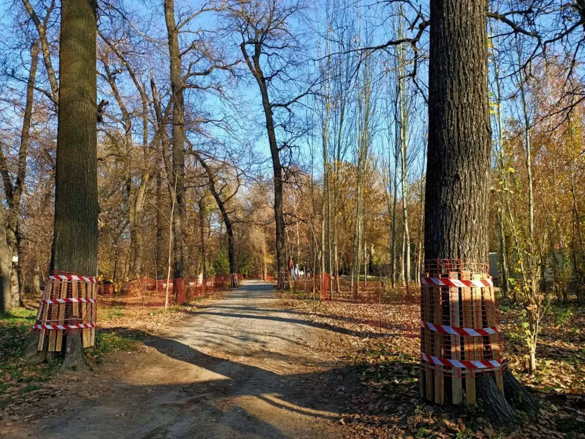 «BAZIS-A» сделала важное заявление касательно рощи Баума