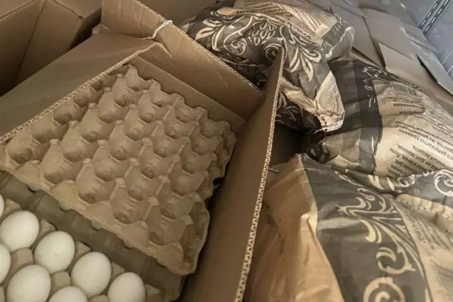 Ресейден әкелінген 63 мың жұмыртқа Қазақстан аумағына неліктенкіргізілмеді?