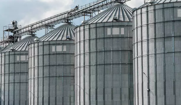 Работница сельхозпредприятия сорвалась в зернохранилище и погибла в СКО