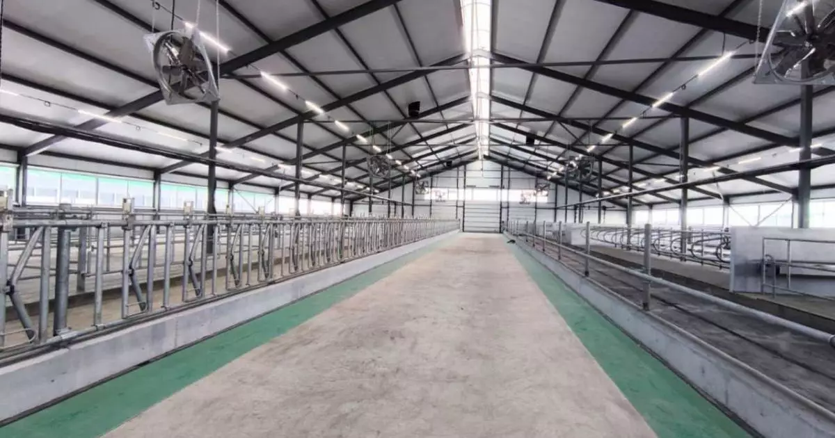  Қостанай облысында 1200 бас малға арналған сүт-тауарлы ферма іске қосылды 