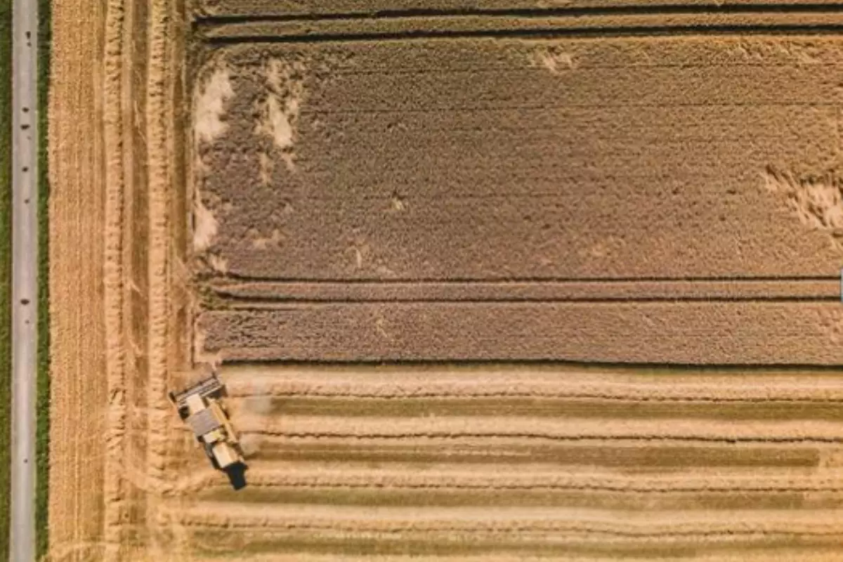 В Индере вскрыли залежи бесхозной земли