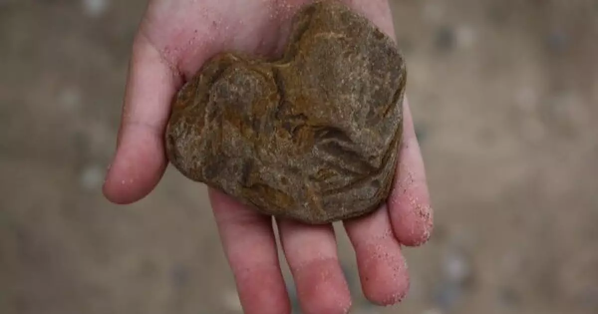  Бішкекте ер адам қызды таспен ұрып, басын жарып жіберген (ВИДЕО) 