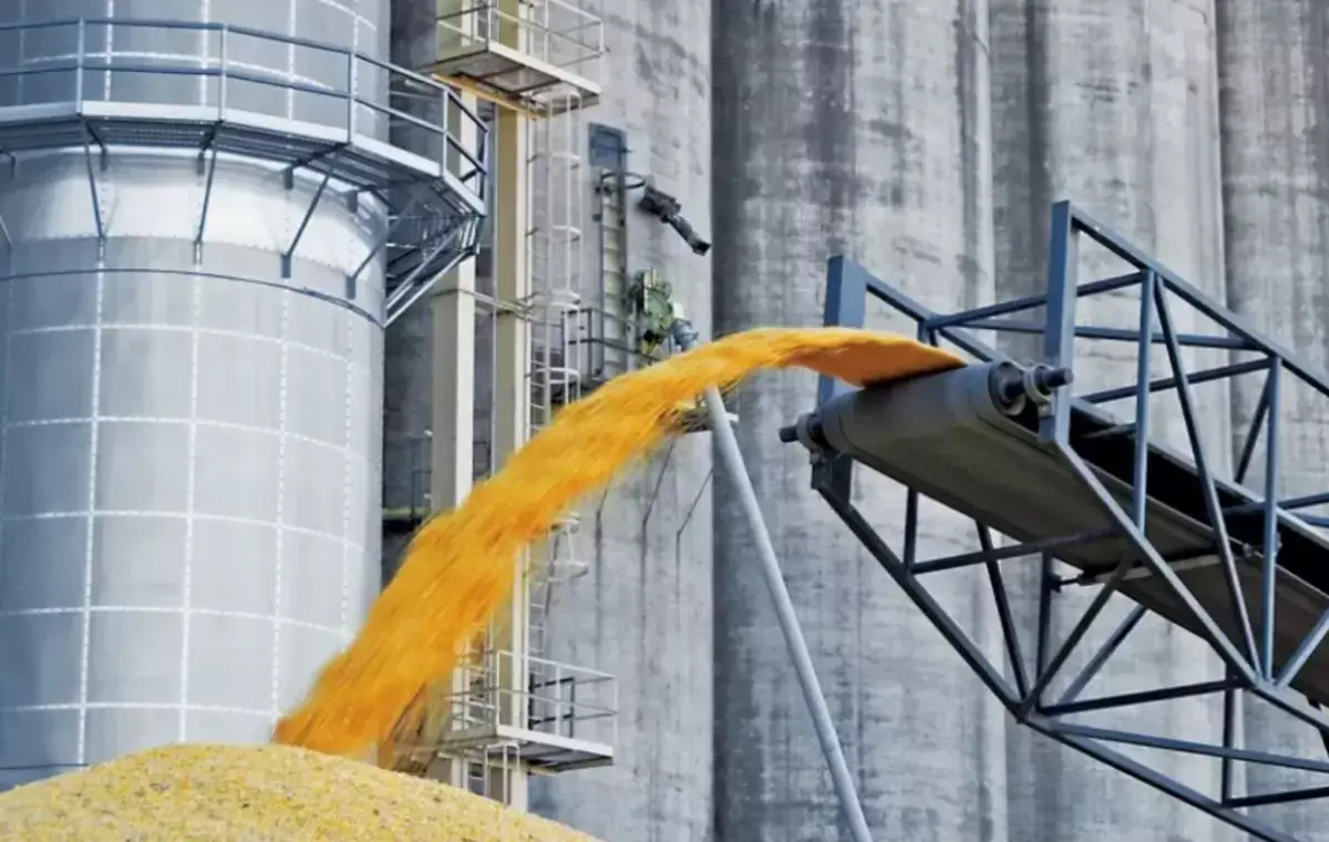 В Казахстане работница элеватора утонула в зерне - новости на Lada.kz 20.11.2025