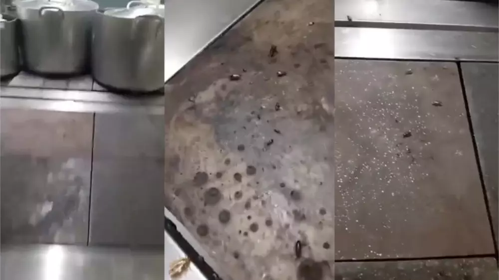 Детский сад в Алматы закрыли после скандального видео с тараканами