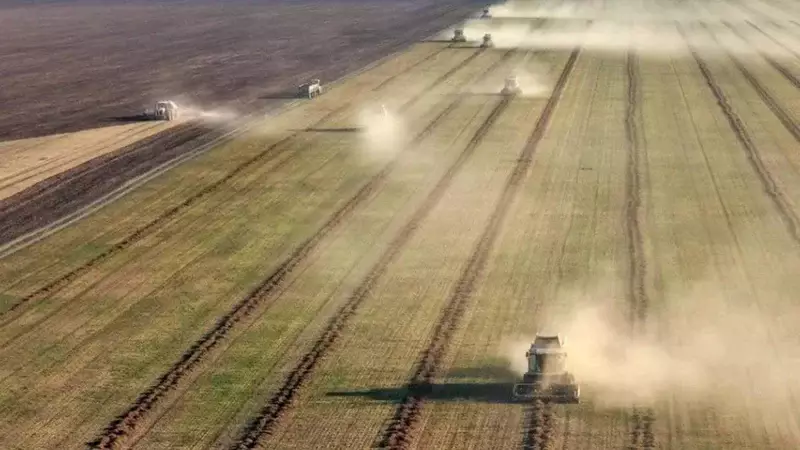 Цифровые технологии увеличивают урожайность в Восточном Казахстане на 40%