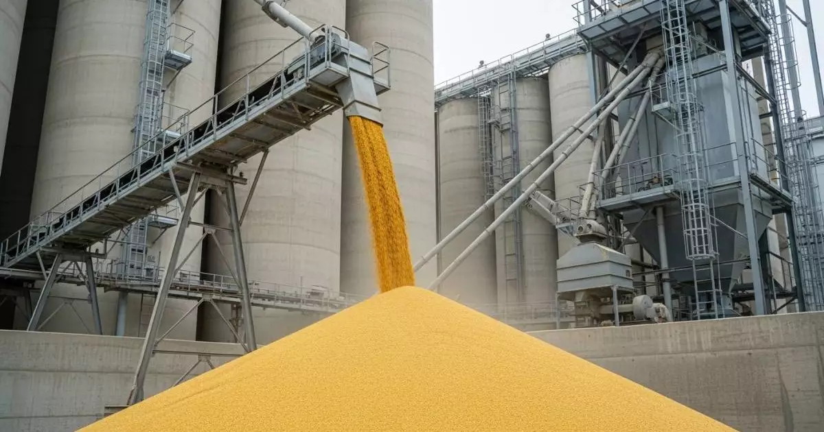  Солтүстік Қазақстанда жұмысшысы элеватордағы астыққа батып қаза тапты 