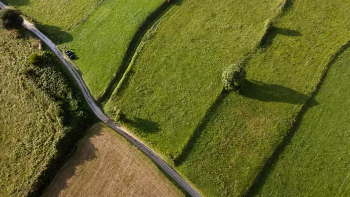 Депутат жерді заңсыз бөлген лауазымды тұлғалардың жауапкершілігін нақтылауды сұрады