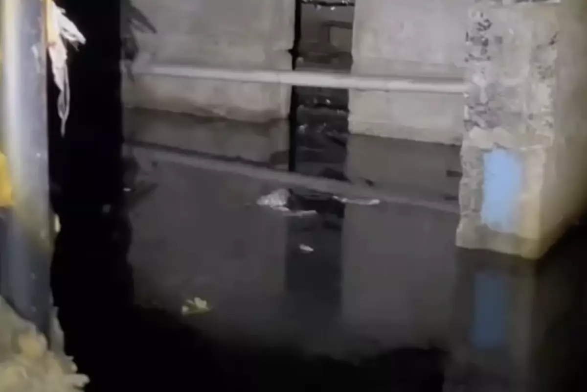 Семейде қаңтар айынан бері ірің басқан жертөлелер: әкімдік үш апта бойы мәселені шеше алмады