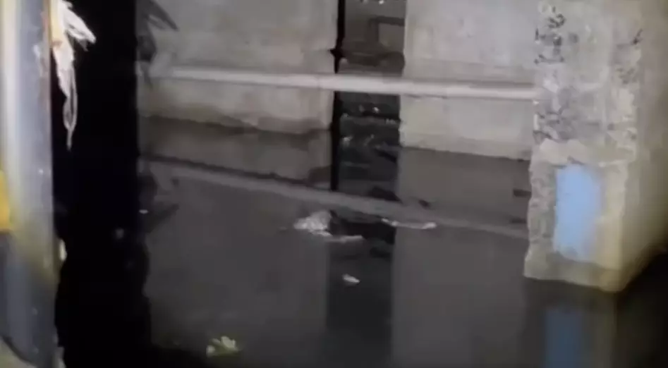 Семейде қаңтар айынан бері ірің басқан жертөлелер: әкімдік үш апта бойы мәселені шеше алмады