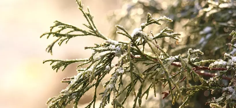 Низовые метели и гололед: штормовое предупреждение объявили в нескольких областях РК