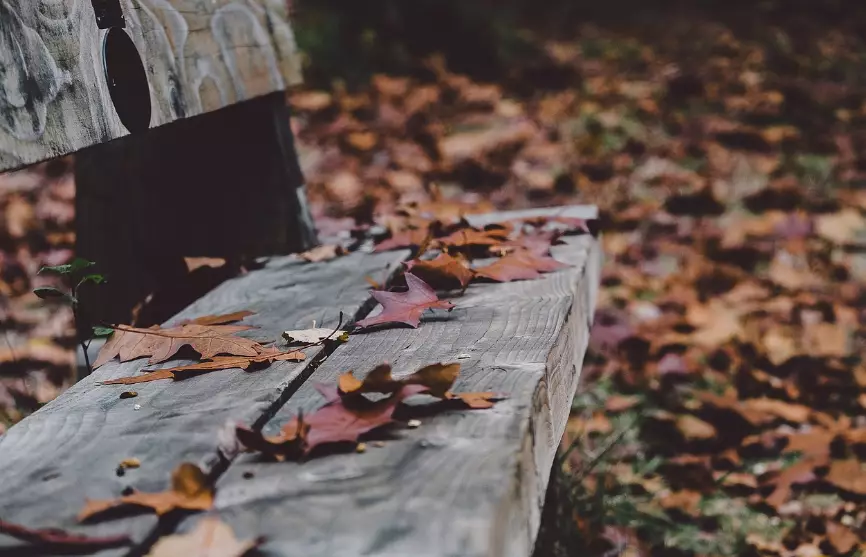 Штормовые предупреждения на пятницу объявлены в 14 областях Казахстана