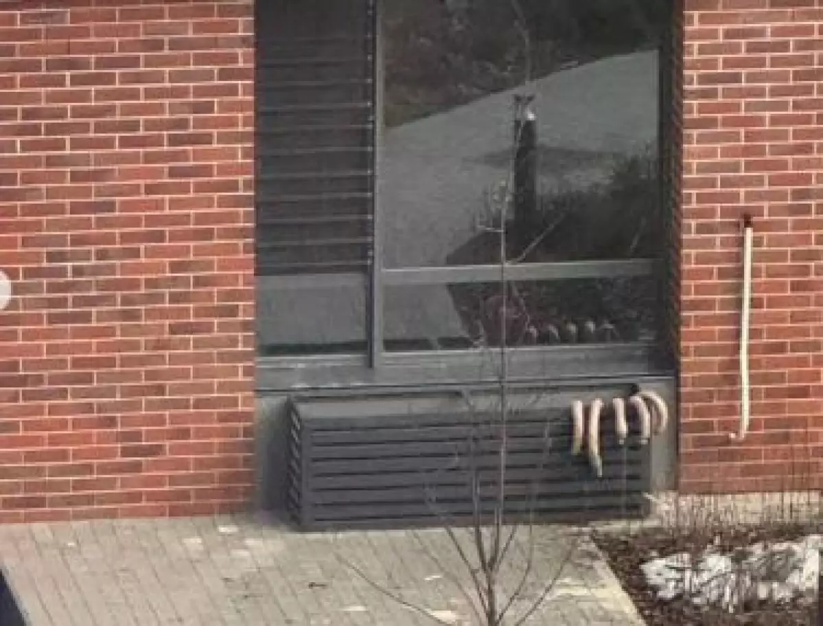 Сезон соғыма: астанчане развесили мясо прямо во дворе дома (ВИДЕО)