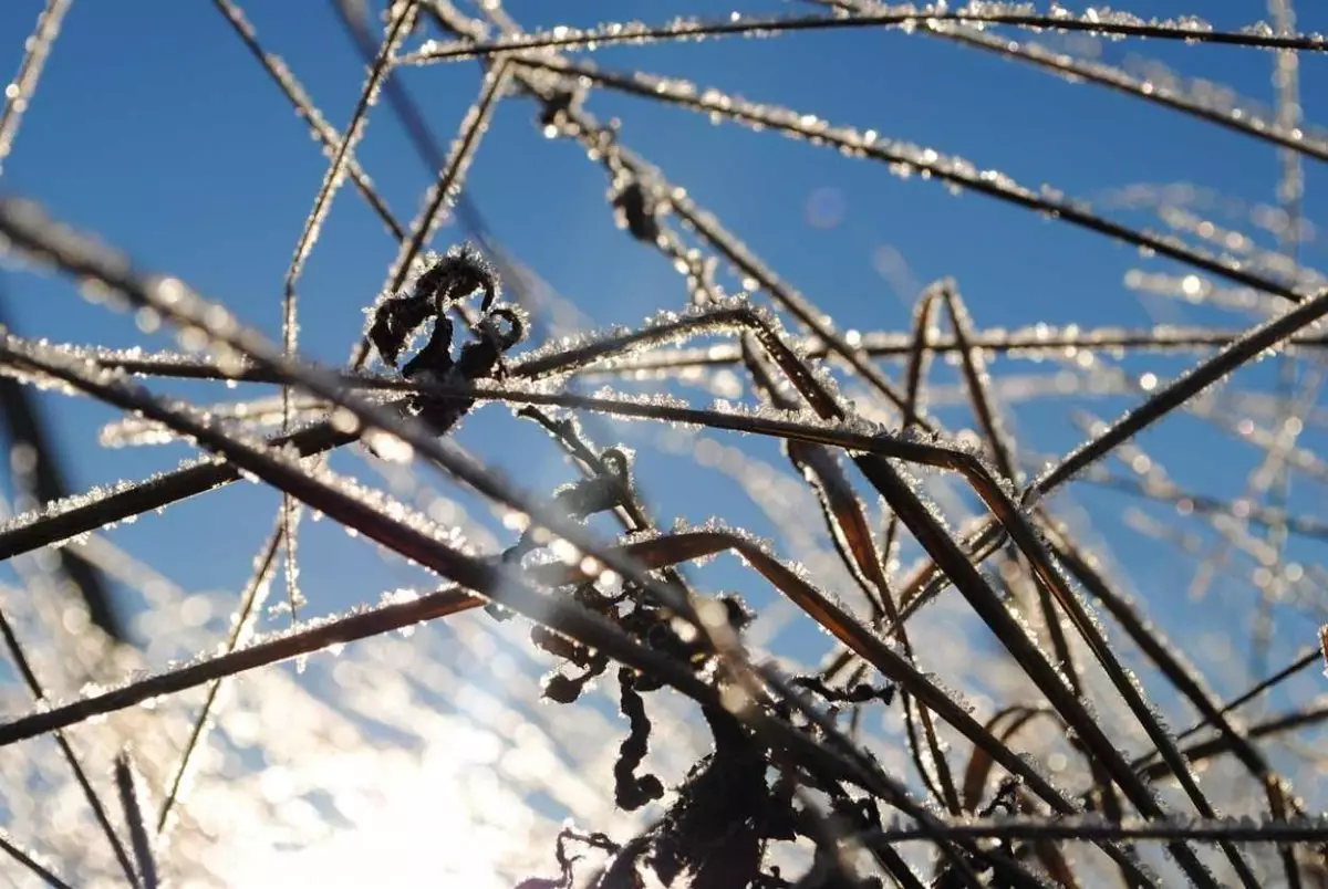 Заметно холоднее станет в Шымкенте