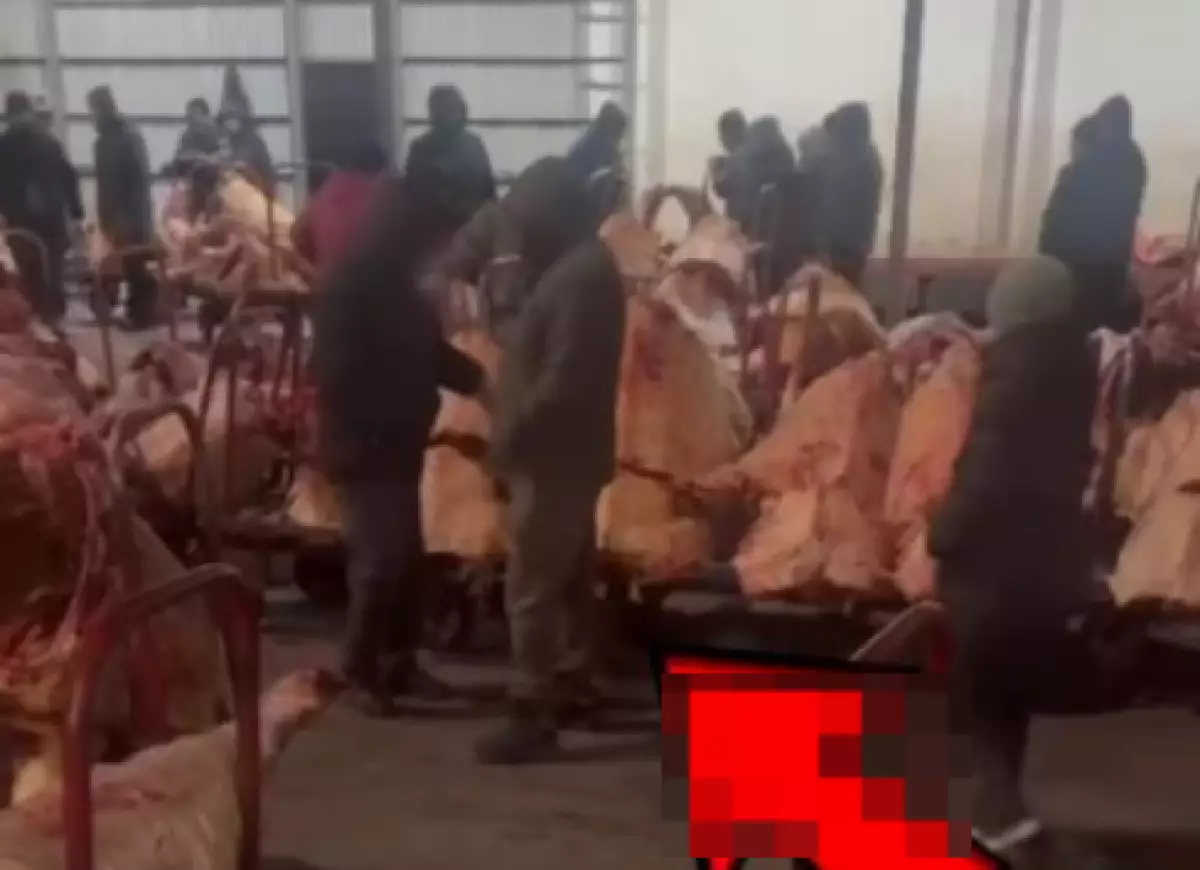 На рынке "Алем" подделывали ветеринарные документы в Астане