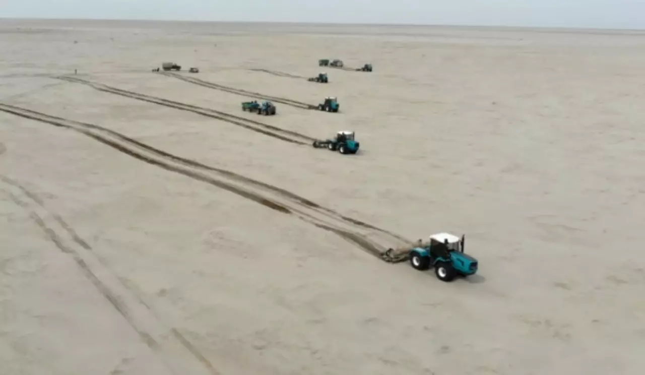 Осеннюю посадку саксаула начали на высохшем дне Арала