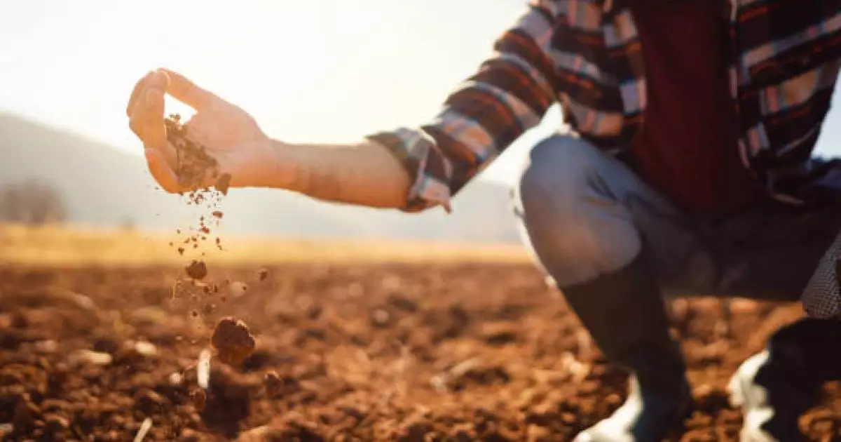  Жамбыл облысында 8 жыл бойы игерілмеген жер мемлекетке қайтарылды 