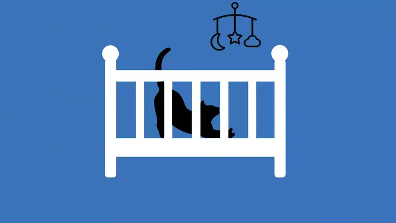 Развивающиеся страны наблюдают резкий рост числа людей, не желающих иметь детей.