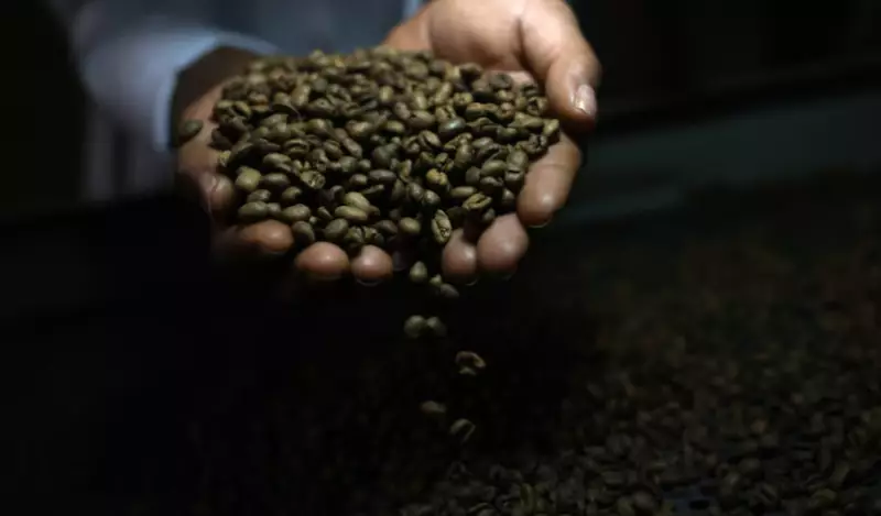 Трамп отменил пошлины на говядину и кофе из Бразилии