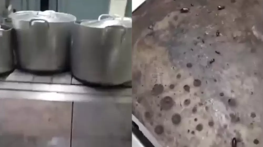 Тараканы, кухня и проверка: что грозит детсаду в Алматы по закону