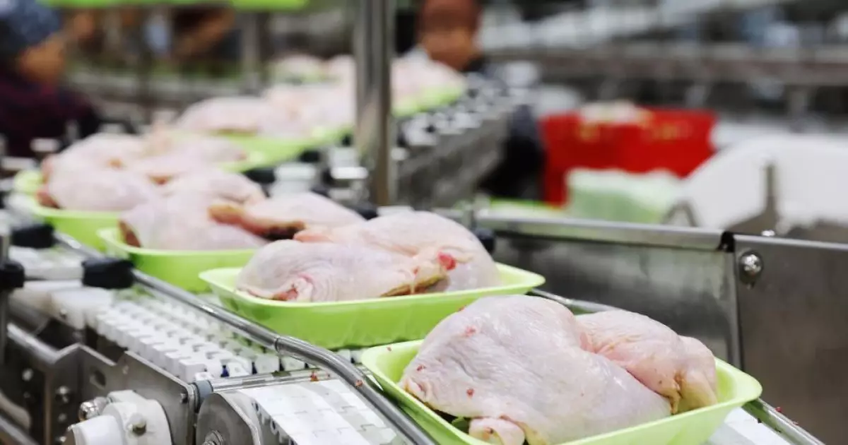   Жамбыл облысында жылына 70 мың тонна құс етін өңдейтін зауыт іске қосылды   