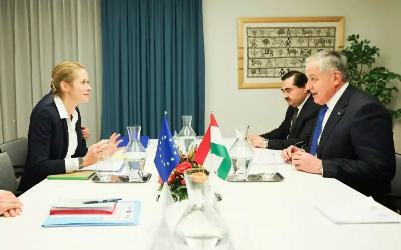 Министр иностранных дел Таджикистана встречается с высоким представителем Евросоюза в Брюсселе.