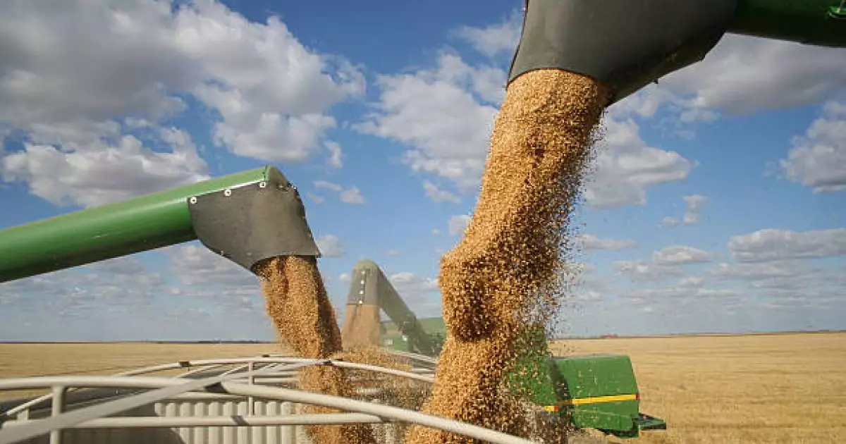  Биыл қарашада Әзербайжан арқылы Арменияға Қазақстан бидайының алғашқы тоннасы жеткізілді 