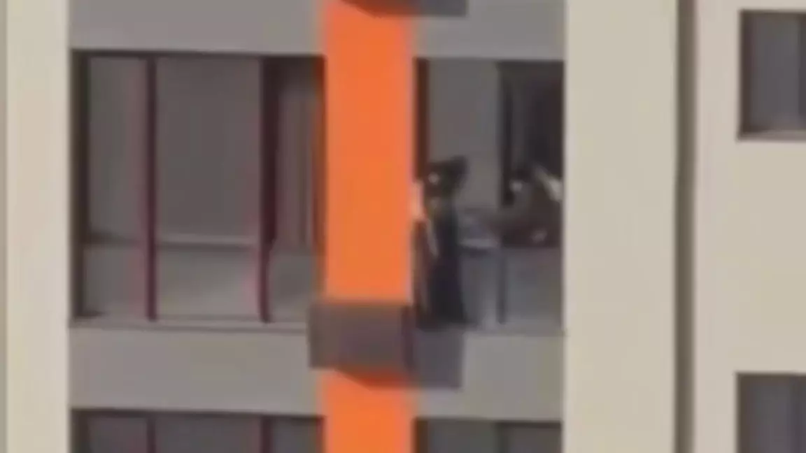 Шымкентте куәгер өз өмірін қатерге тігіп, қызды құтқарып қалды