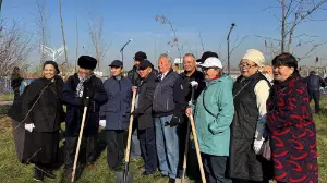 Алматының Наурызбай ауданында жасыл желек отырғызу жұмыстары қарқын алып отыр