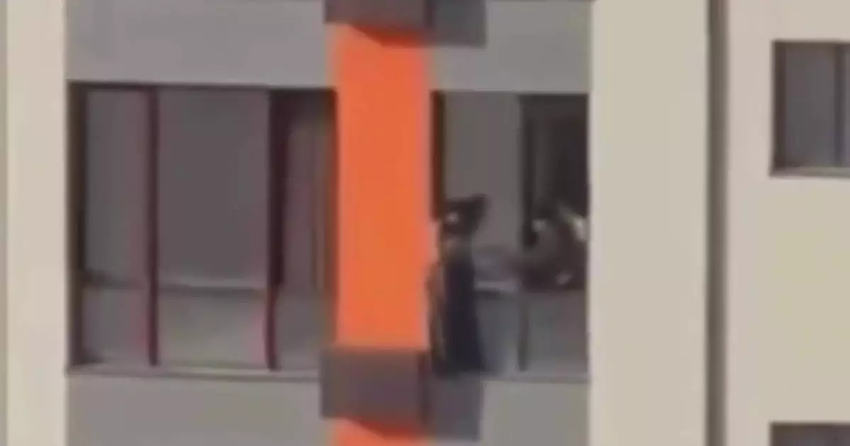  Очевидец рискнул жизнью и спас девушку на высоте в Шымкенте 