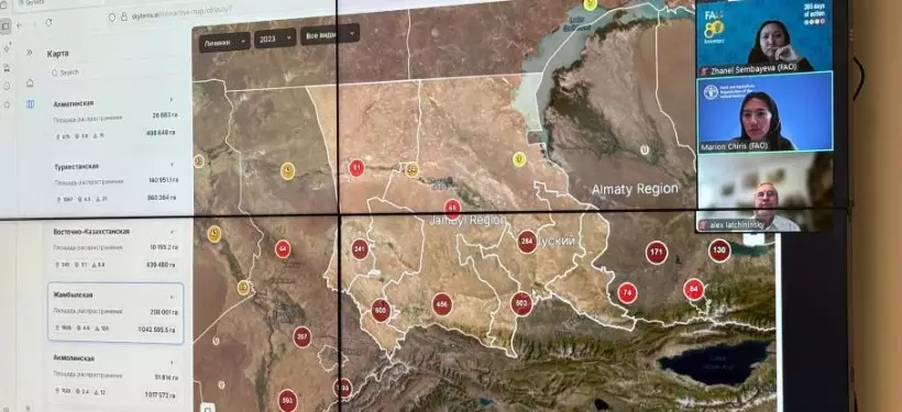Интеллектуальную систему мониторинга саранчовых вредителей запускают в Казахстане