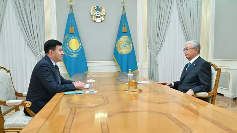 Глава государства получил информацию о подготовке казахстанских боксеров к Олимпийским играм 2028 года.