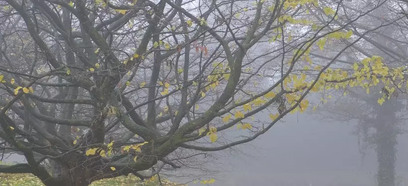 Штормовое предупреждение объявили в ряде регионов Казахстана