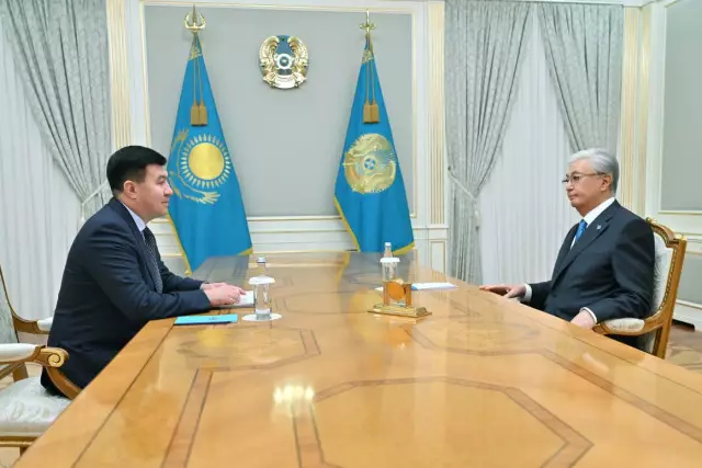 Президент «Бағанашыл» балалар үйін 5 млрд теңгеге жөндеп беретін кәсіпкерді қабылдады