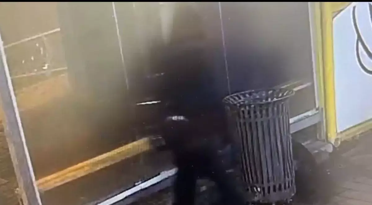 Ночной погром: пьяные мужчины повредили остановки в Астане (видео)