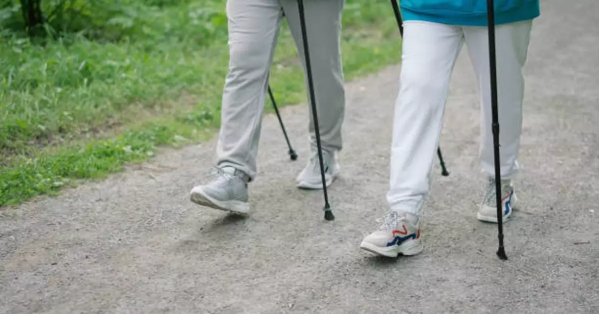  `Күніне 10 мың қадам жүруден де нәтижелі`: ғалымдар жаяу жүрудің ең пайдалы түрін атады 