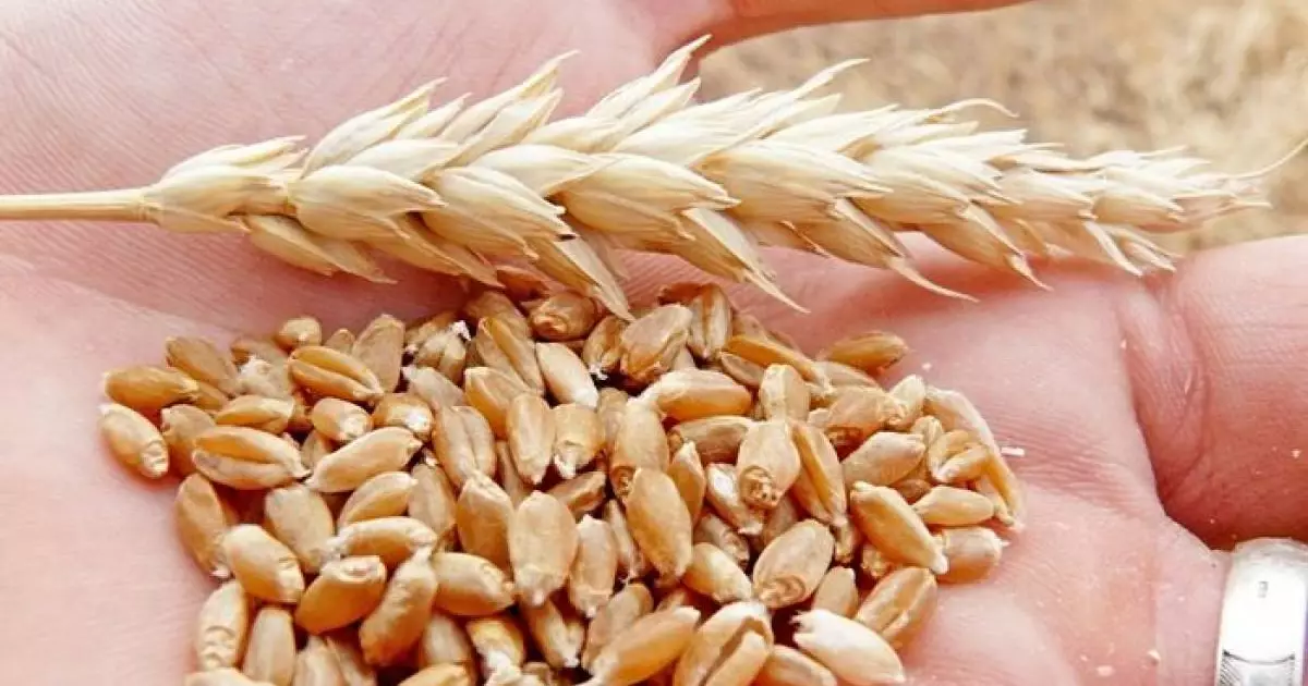  Тоқаев өз елі арқылы Қазақстан мен Армения арасында екіжақты тікелей сауда жүргізуге жағдай жасағаны үшін Әлиевке ризашылығын білдірді 