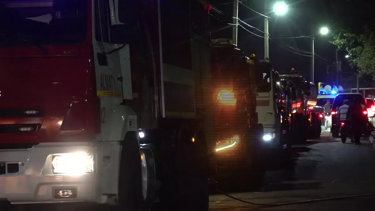 Биыл Алматыда 28 орман өрті тіркелді