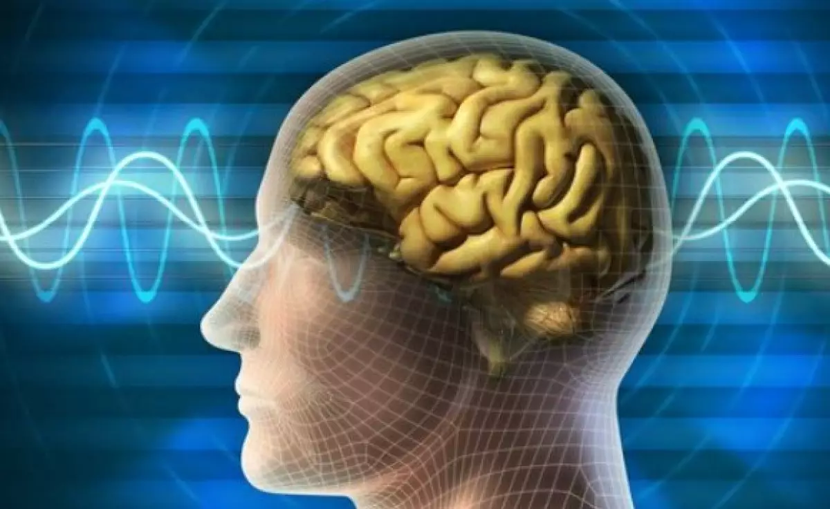 Қысқа роликтер ұйқыны бұзады, мазасыздықты арттырады