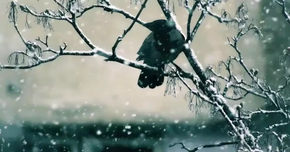  22 қарашада ауа райы қандай болады 