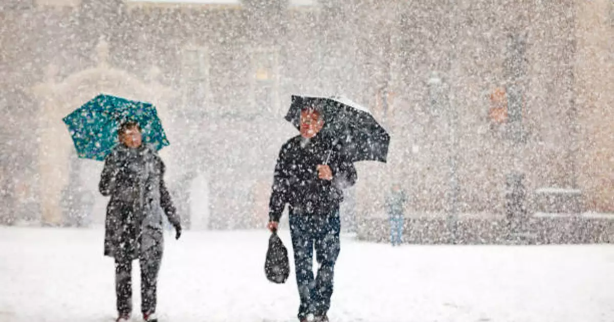   Көктайғақ болады, жаяу бұрқасын соғады: 22 қарашаға ауа райы болжамы   