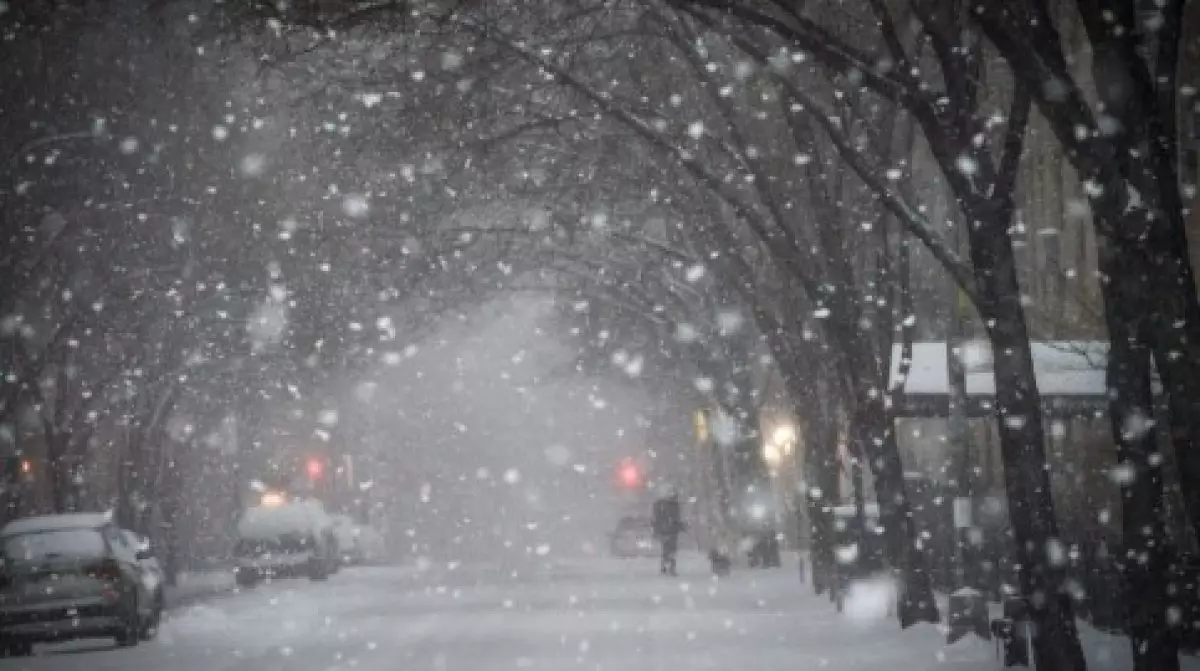 Тұман түсіп, көктайғақ болады - синоптиктер ескерту жасады