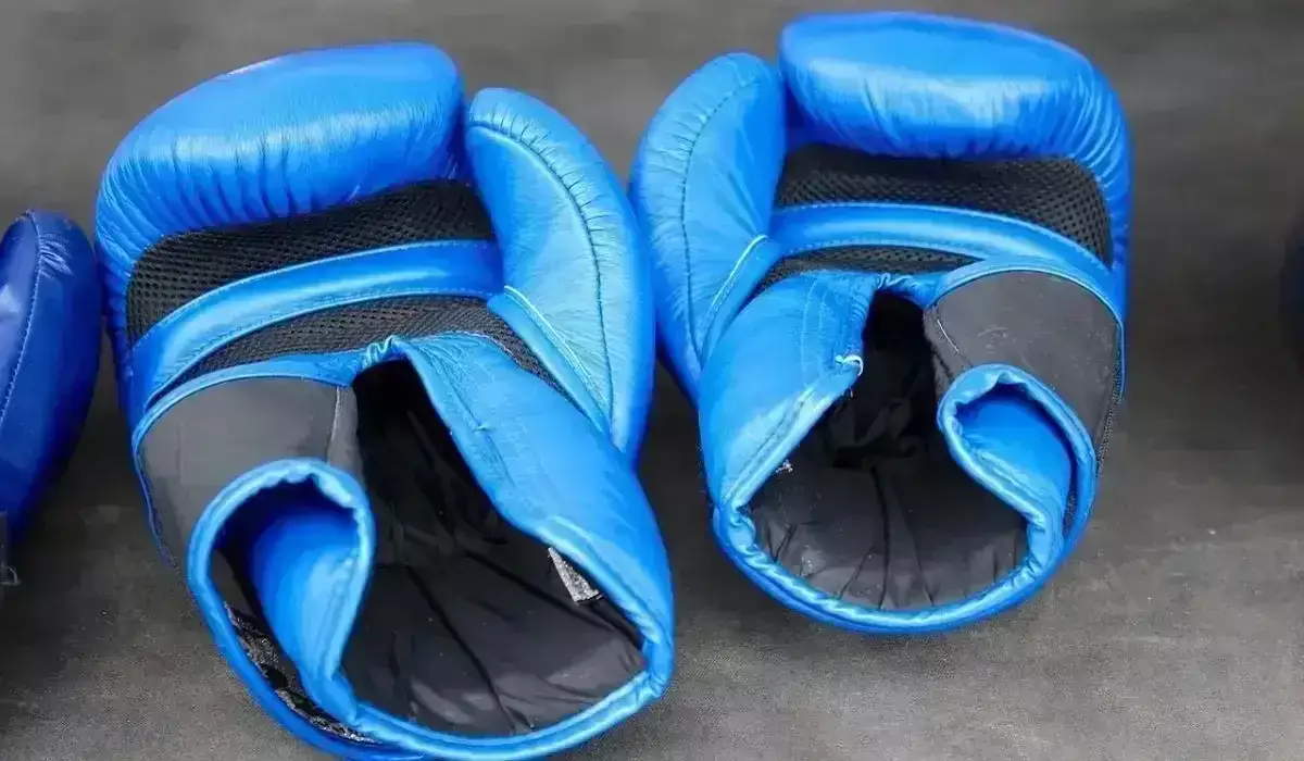 World Boxing ұйымындағы басшылық лауазымдарға ұсынылған үміткерлердің тізімі жарияланды