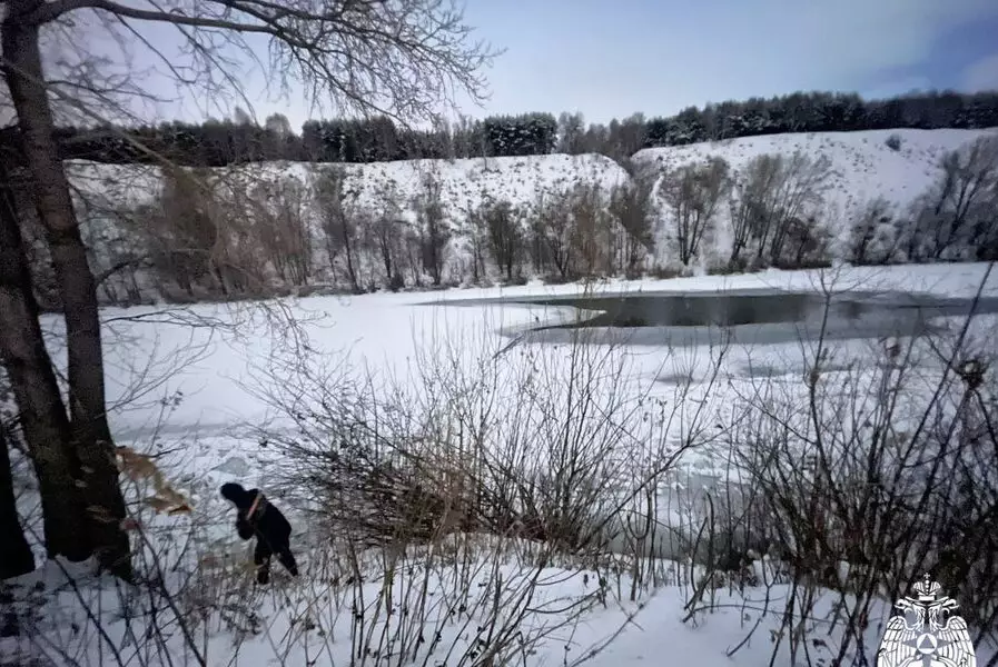 В Новосибирске двое детей провалились под лёд, один из них погиб