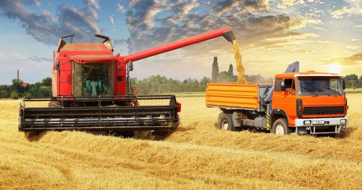   Еңсені езген тыйым   